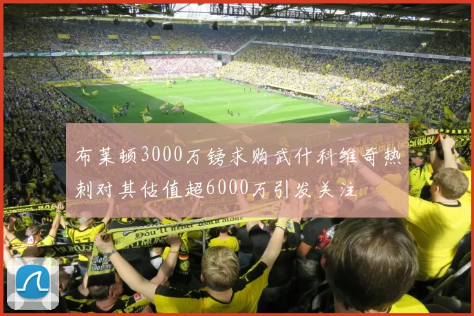 布莱顿3000万镑求购武什科维奇热刺对其估值超6000万引发关注