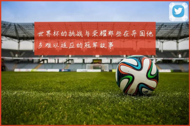 世界杯的挑战与荣耀那些在异国他乡难以适应的冠军故事