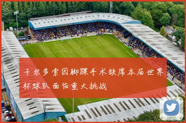 卡尔多索因脚踝手术缺席本届世界杯球队面临重大挑战