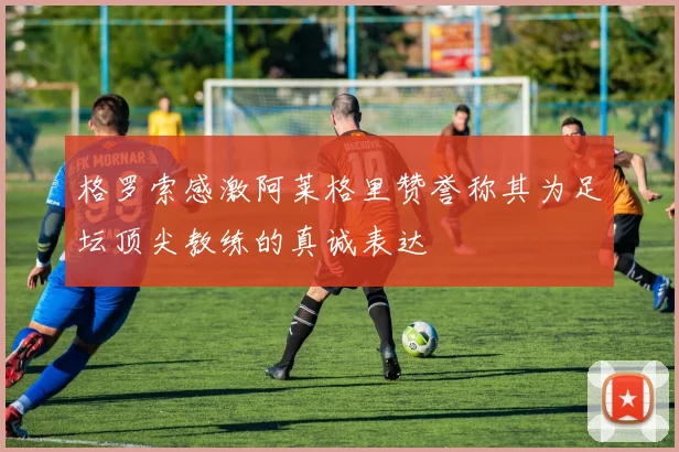 格罗索感激阿莱格里赞誉称其为足坛顶尖教练的真诚表达